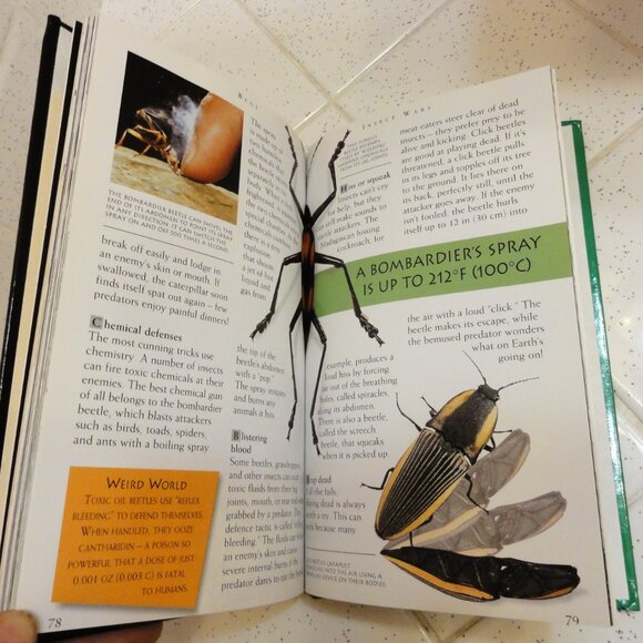 Vintage Secret Worlds Bugs A Close Up View of the Insect World Hardcover Book - Picture 11 of 16